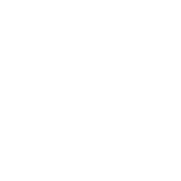 Vision Icon